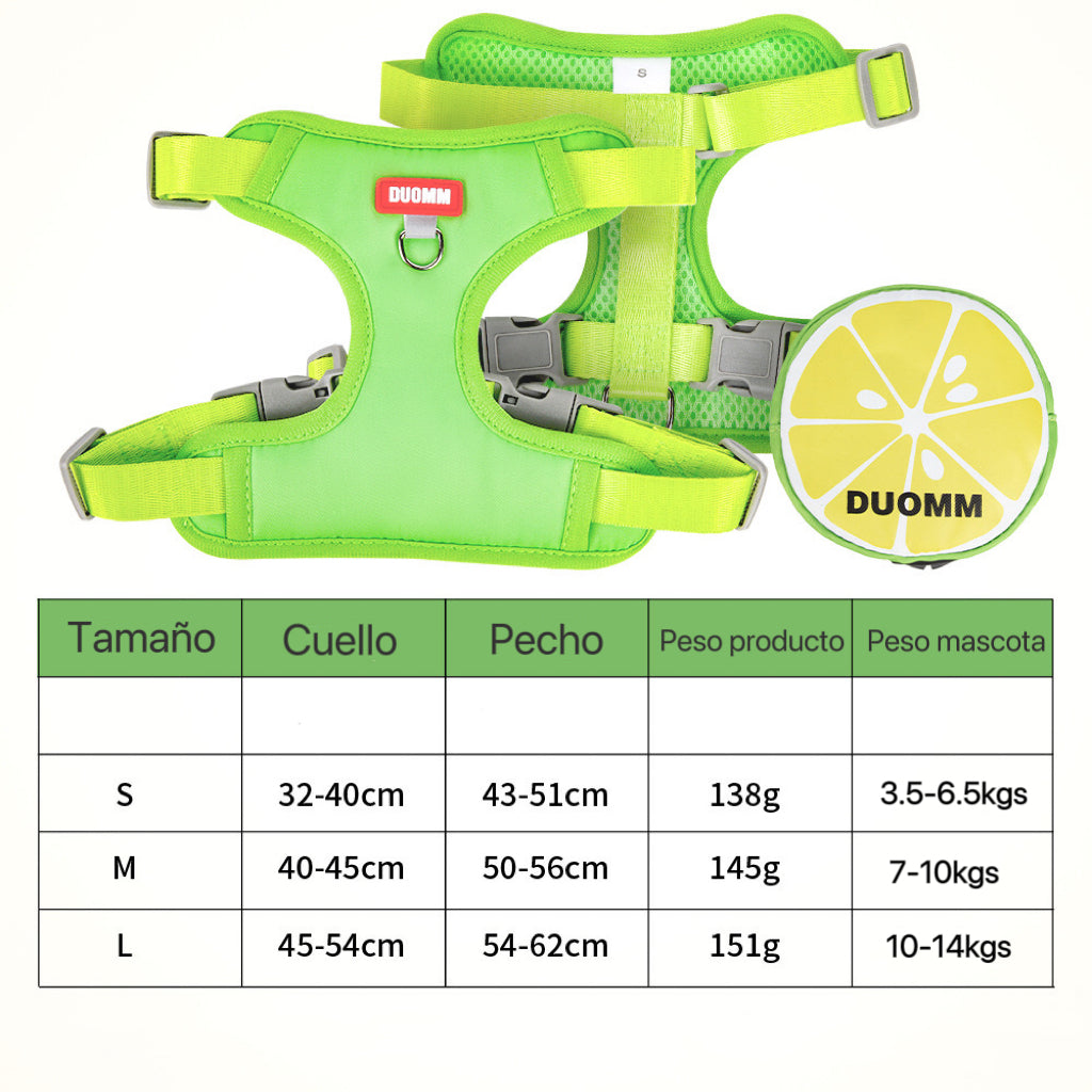 PA311(📦240PCS) SURTIDOS TALLAS S/M/L