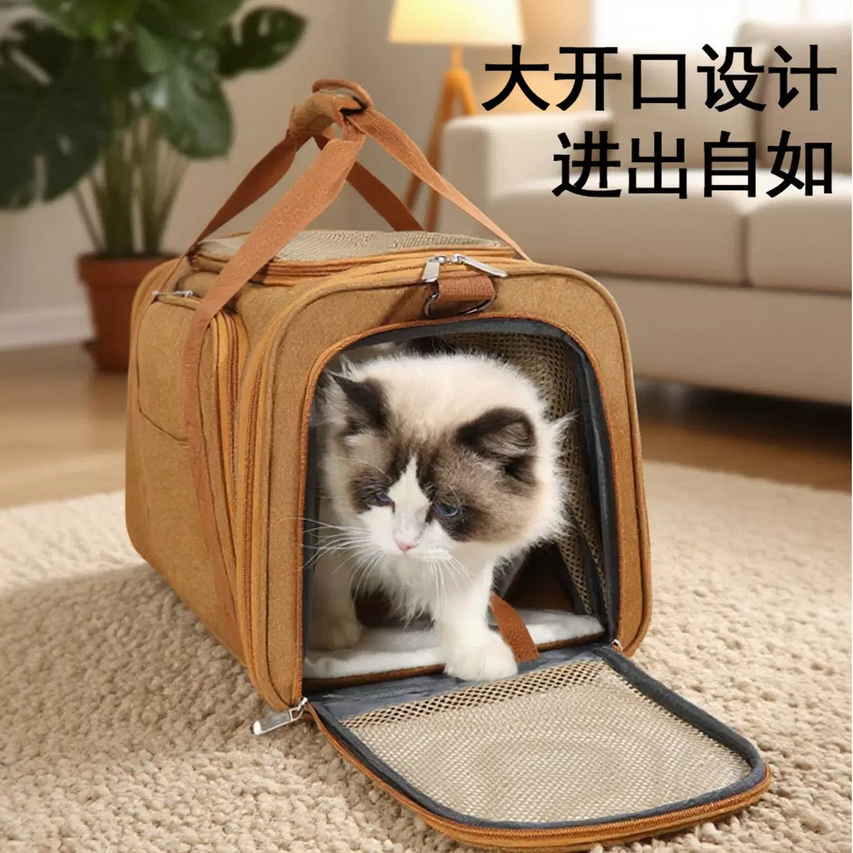 PB357 (📦30PCS)