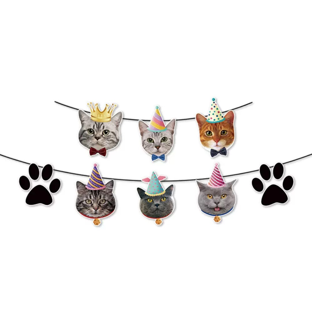 PF-06 (📦32PCS)